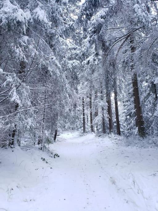 Wohnung Im Schoenen Fichtelgebirge Marktredwitz Exterior foto