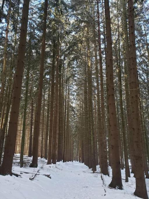 Wohnung Im Schoenen Fichtelgebirge Marktredwitz Exterior foto